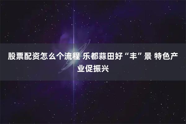 股票配资怎么个流程 乐都蒜田好“丰”景 特色产业促振兴