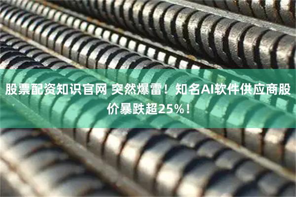 股票配资知识官网 突然爆雷！知名AI软件供应商股价暴跌超25%！
